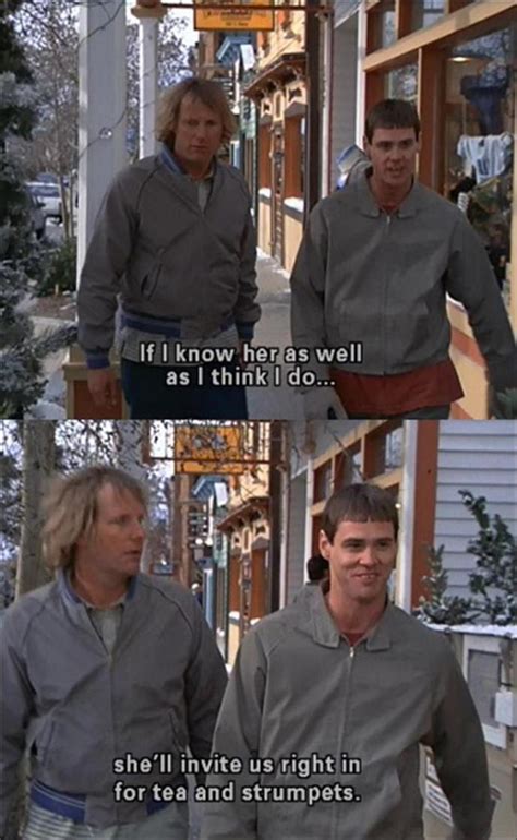 dumb and dumber memes|25 Hilarious Quotes From Dumb And Dumber That Are Still .